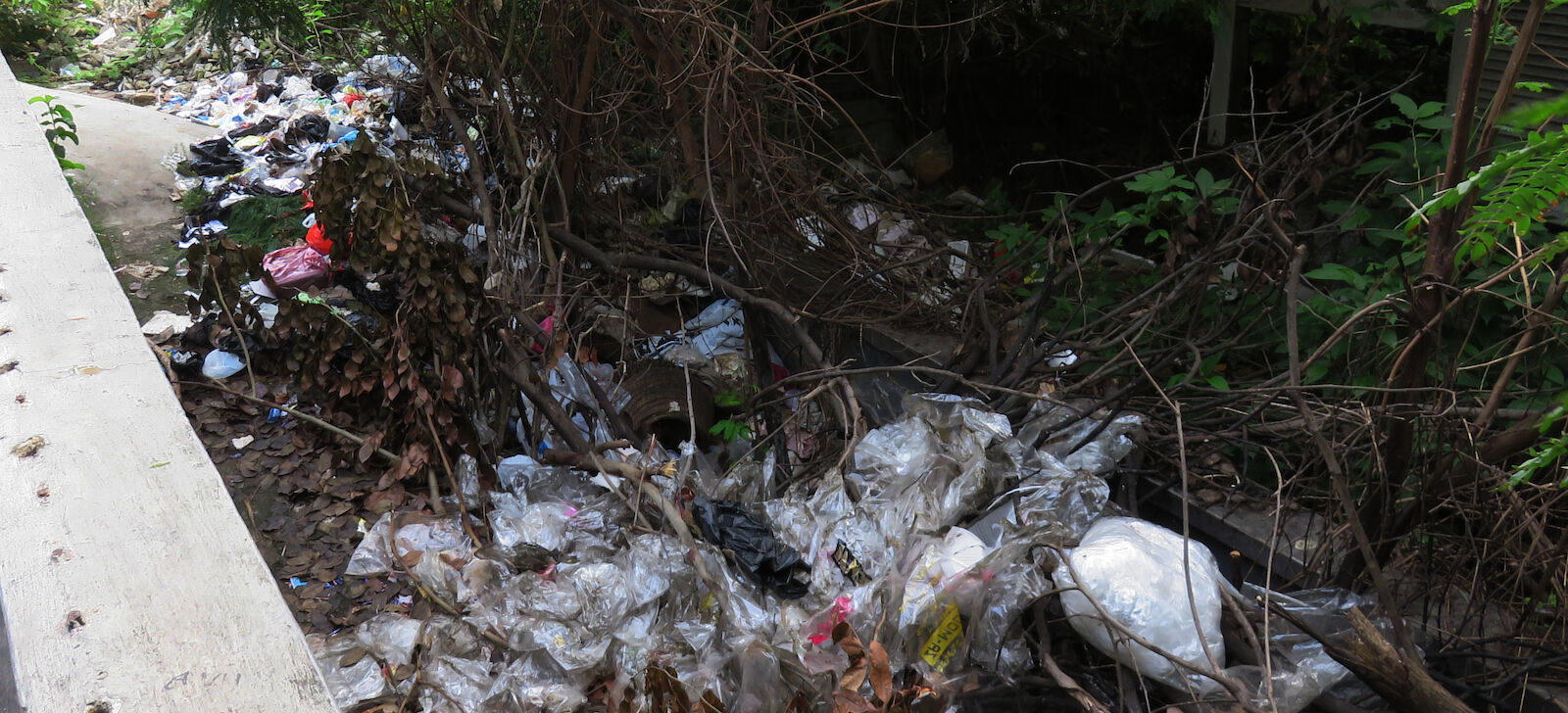 Garbage dumped in Krui South Sumatra