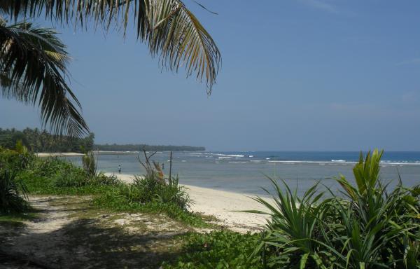 Krui beach looking south