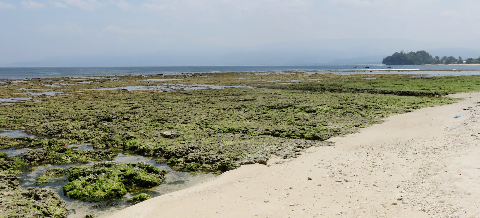 Extreme low tide Krui Left Sept 2023