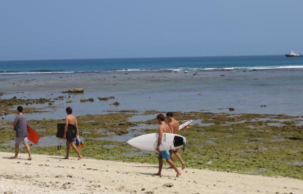 Surfers at Krui beach