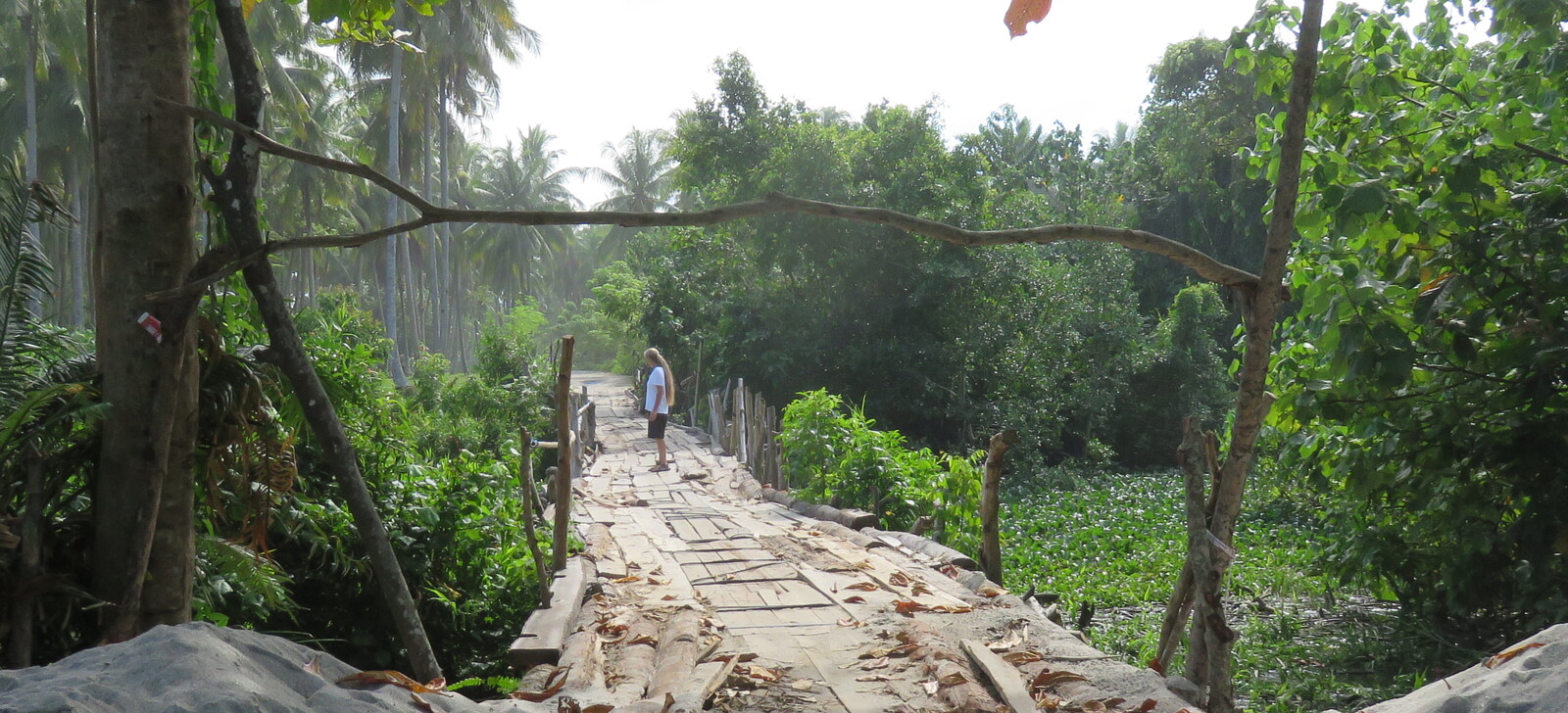 Wooden bridge at Mandiri Sejati South Sumatra