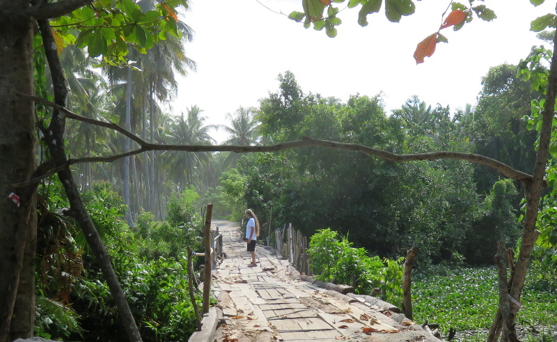 Bridge at Mandiri Sejati, Lampung, Sumatra