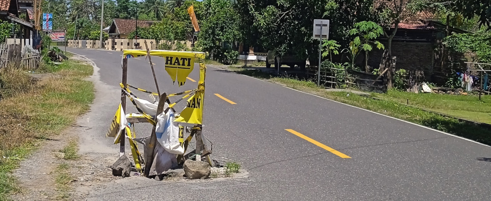 Road hazards Sumatra style