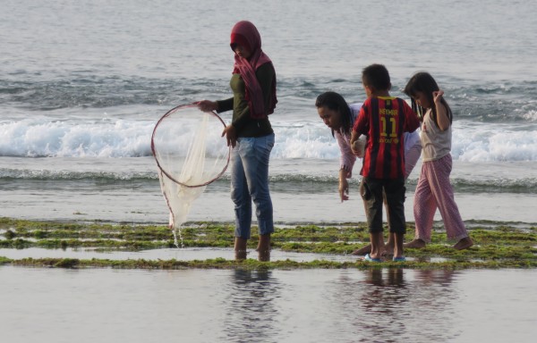 Low tide Tanjung Setia beach