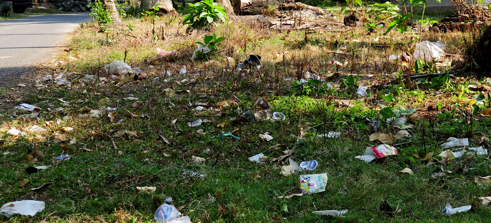 Garbage thrown along Jl. Pantai Wisata Tanjung Setia