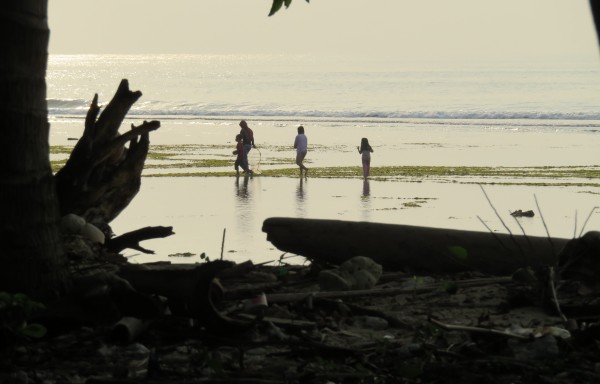 Searching for fish Tanjung Setia beach