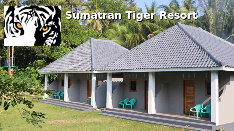 Sumatran Tiger Resort