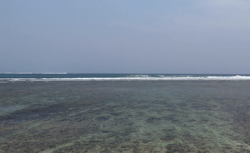 The reef at Jimmys Right Sumatra