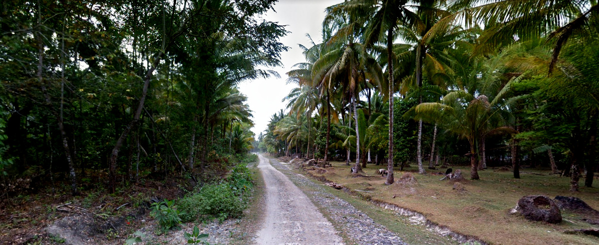 Walur, Krui Selatan, South Sumatra