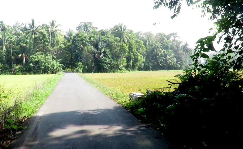 Walur, Krui Selatan, Pesisir Barat, Lampung, Sumatra