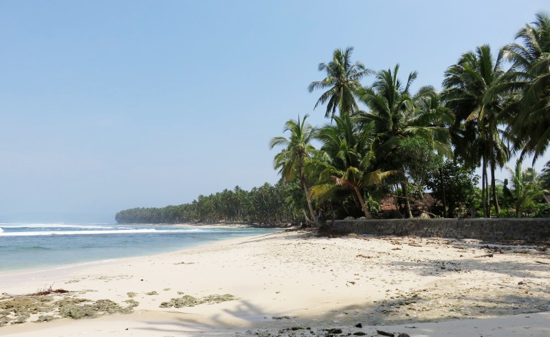 Tourist siting under coconut palms, Walur Beach, Sumatra
